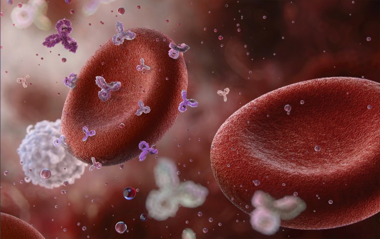 Illustration of Y-shaped antibodies in the bloodstream with red and white blood cells.