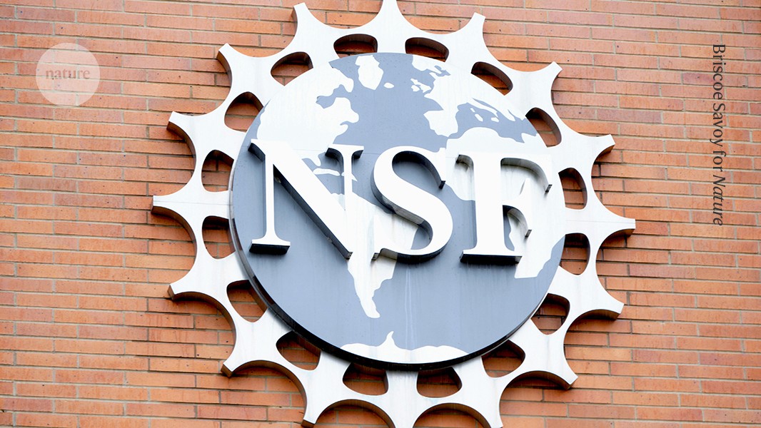 Entire NSF science advisory board fired by Trump administration