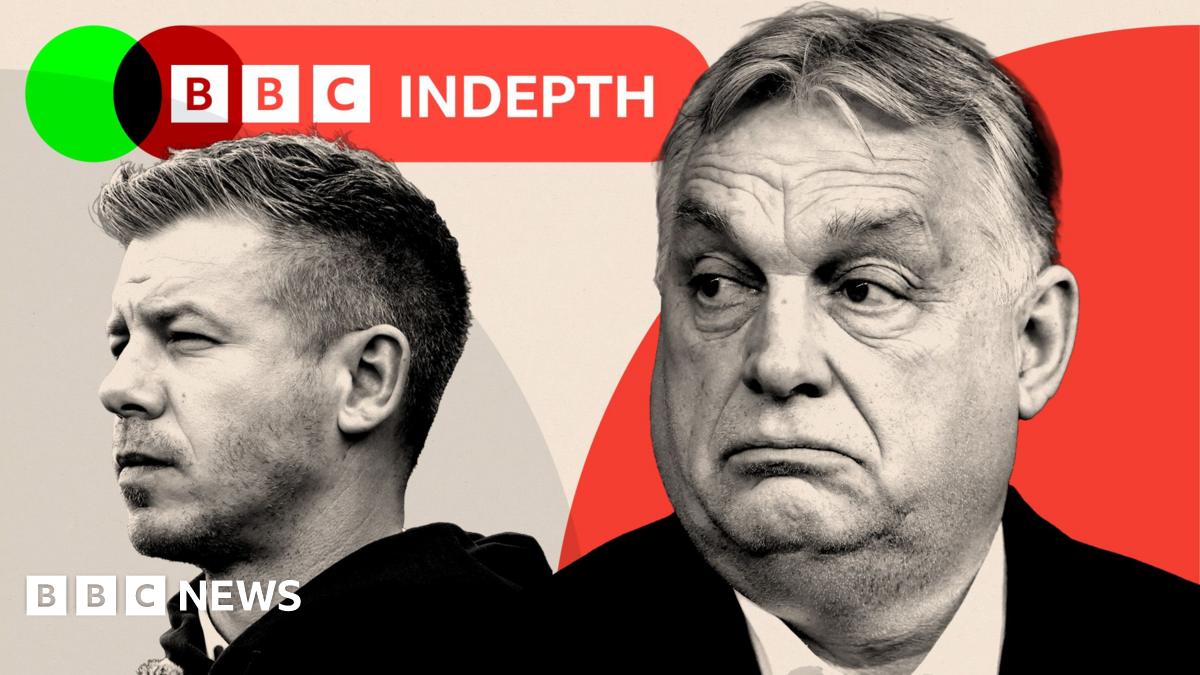 BBC InDepth