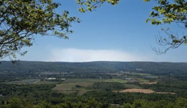 Nova Scotia’s provincewide ban on entering the woods was unreasonable, court rules