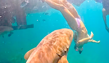 Yahoo lifestyle home