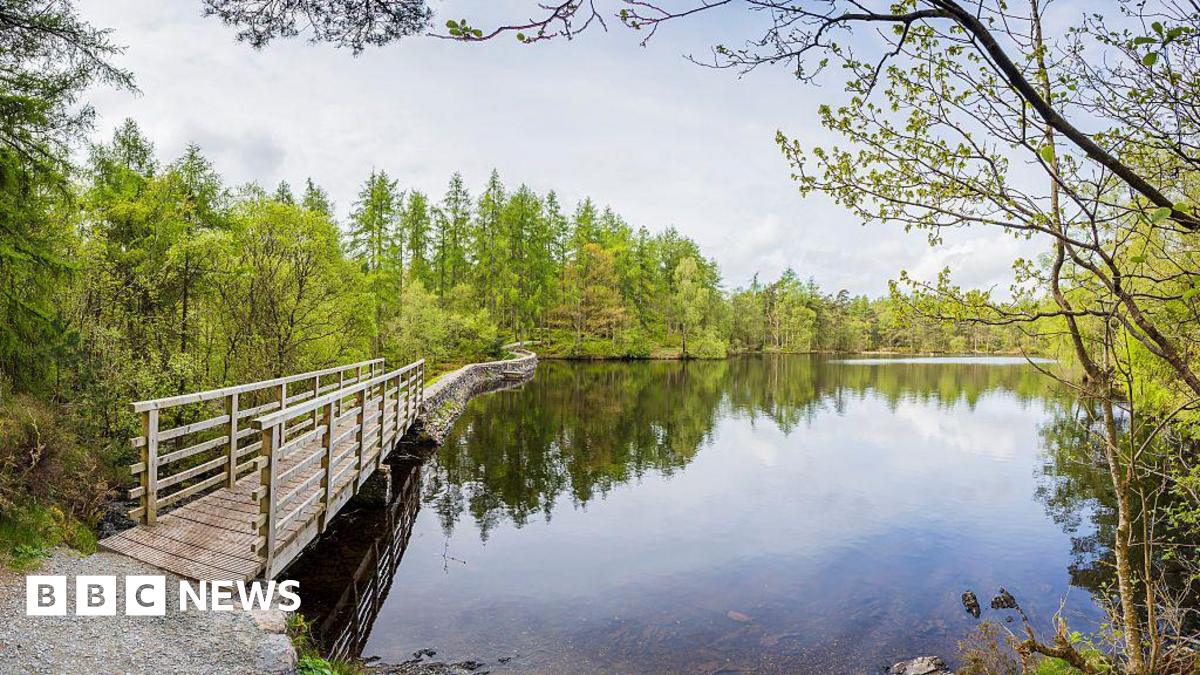 A wooden path winds around the edge of the water at High Dam Tarn. It is surrounded by shrubs and trees.