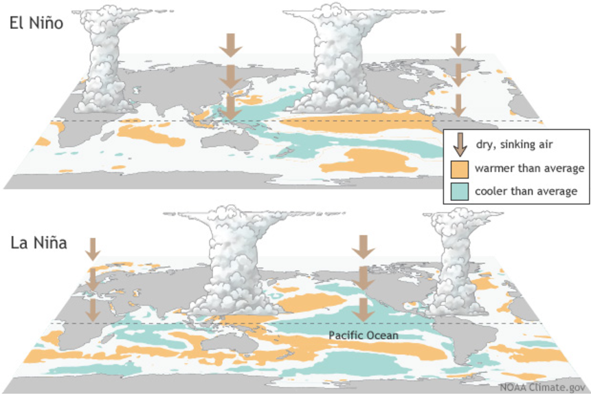 This diagram shows how El Niño and La Niña typically influence global weather. Note that during El Niño, it's typically less stormy over the Atlantic Ocean.