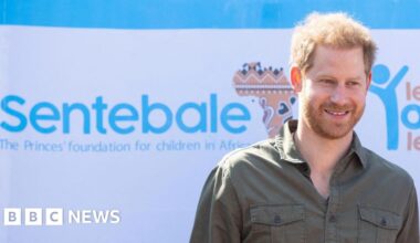 Prince Harry sued for defamation by charity Sentebale he co-founded - BBC