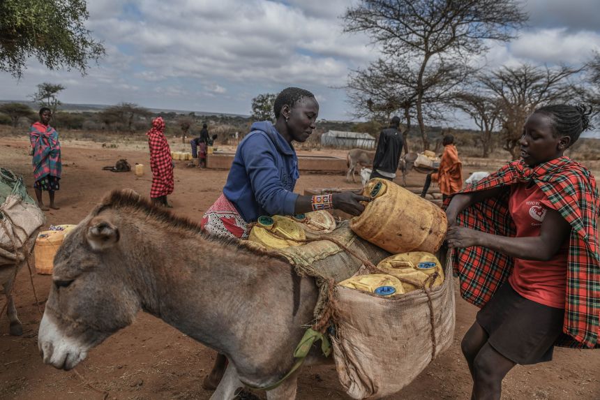 People load water containers onto an animal in a drought-affected area of Kenya in August 2025. The collapse of the AMOC would bring catastrophic impacts including prolonged droughts across a swath of Africa.