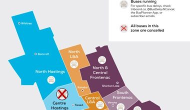 Fog causing school bus cancellations