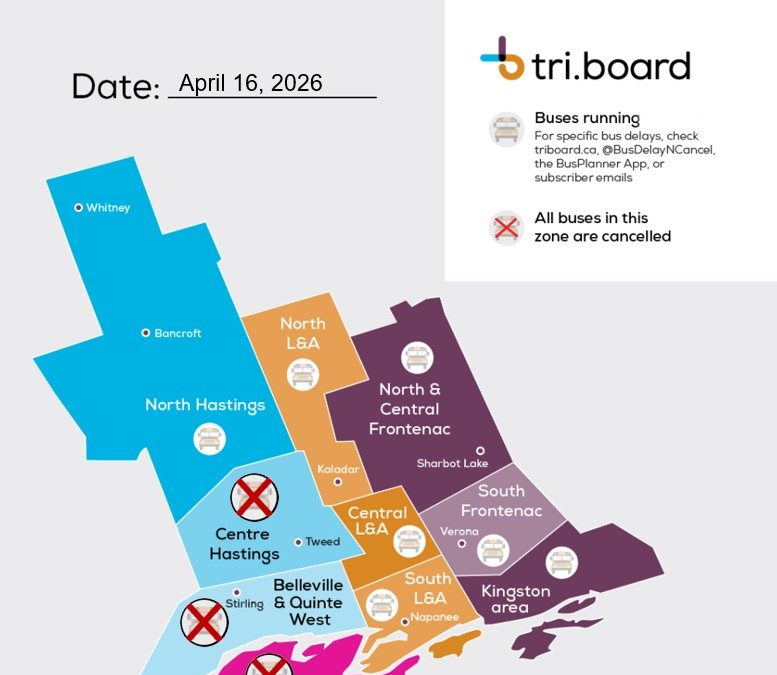 Fog causing school bus cancellations