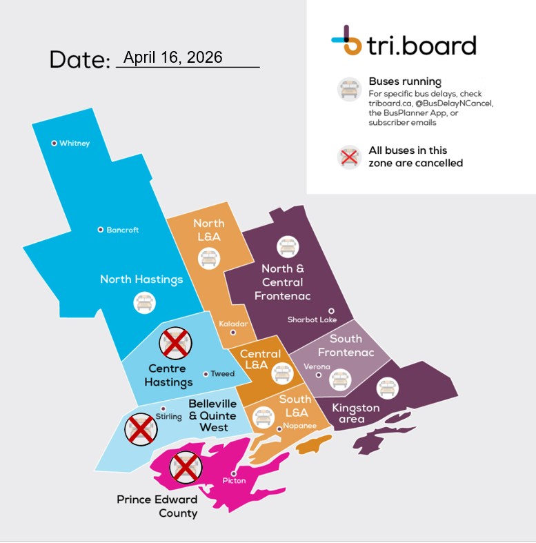 Fog causing school bus cancellations