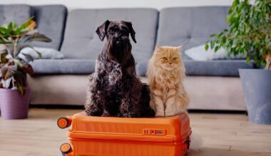 No more pet passports: What are the new EU rules for travelling with animals?