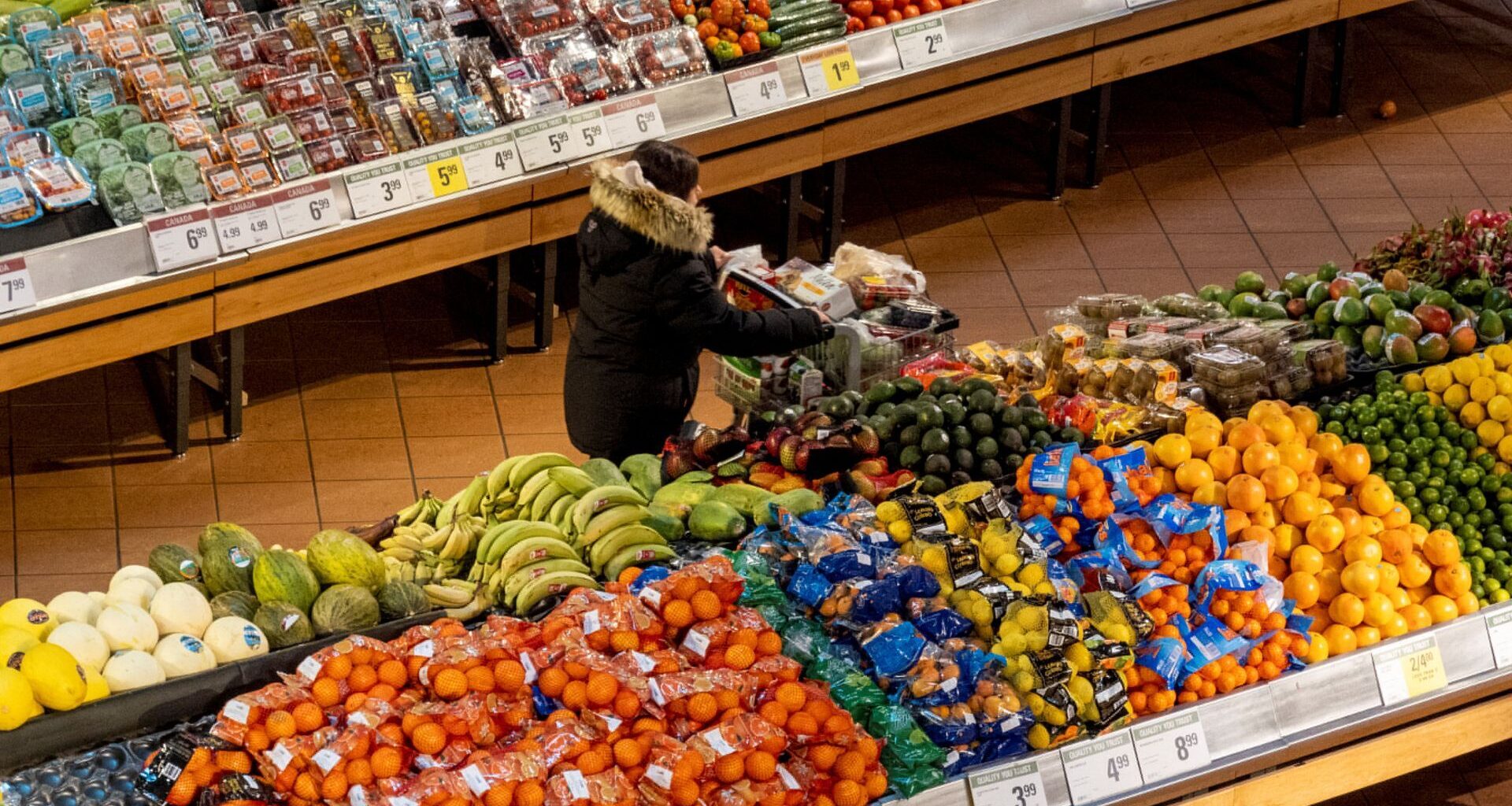 Could the Iran war pose lasting risks to global food security? | US-Israel war on Iran