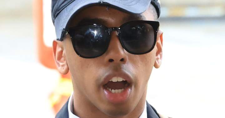 U.S. YouTuber Johnny Somali jailed in South Korea after statue stunt - National