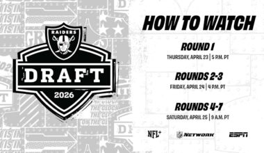 Las Vegas Raiders logo