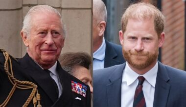 King Charles to Meet with Anna Wintour & Martha Stewart Instead of Prince Harry