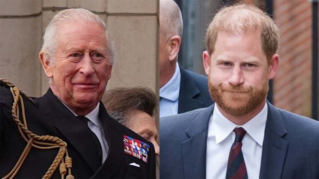 King Charles to Meet with Anna Wintour & Martha Stewart Instead of Prince Harry