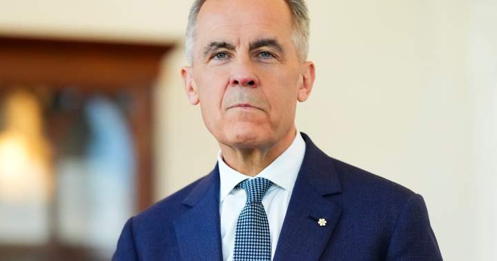 Carney reveals new advisory council for Canada-U.S. trade - National
