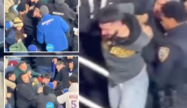 Mets, Twins fans engage in wild brawl as losing streak balloons to 12