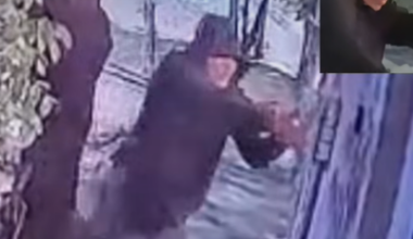 Mexican environmentalist survives assassination attempt caught on video: "I told the hitman 'good morning'"