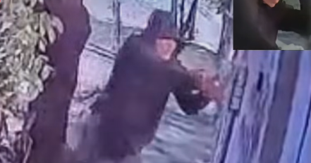 Mexican environmentalist survives assassination attempt caught on video: "I told the hitman 'good morning'"