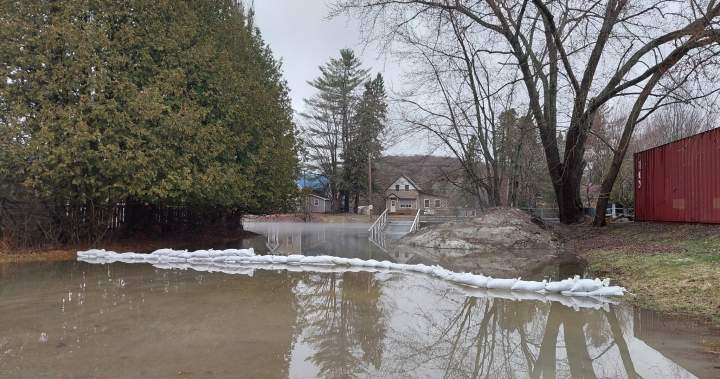 Spring flooding prompts Minden Hills, Ont. to declare state of emergency - Peterborough