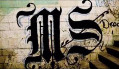 Mass murder trial in El Salvador for almost 500 alleged MS-13 members