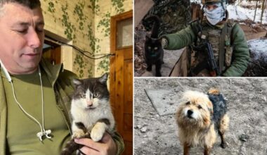Cat and dog miracle drone rescue in war-torn Ukraine