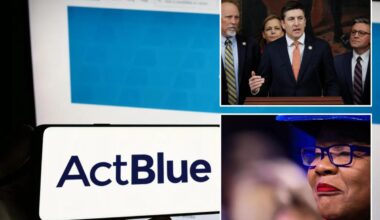 ActBlue employees took the Fifth in House depositions 146 times in probe on alleged donor fraud