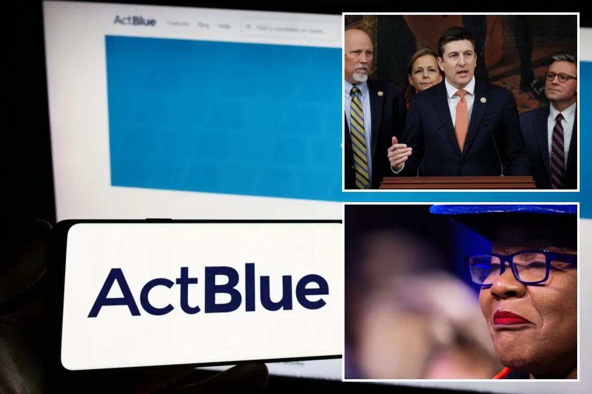 ActBlue employees took the Fifth in House depositions 146 times in probe on alleged donor fraud