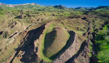 Brighter Side of News