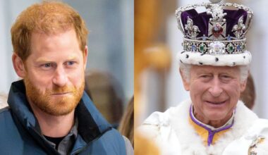 Prince Harry Accused Of Undermining King Charles