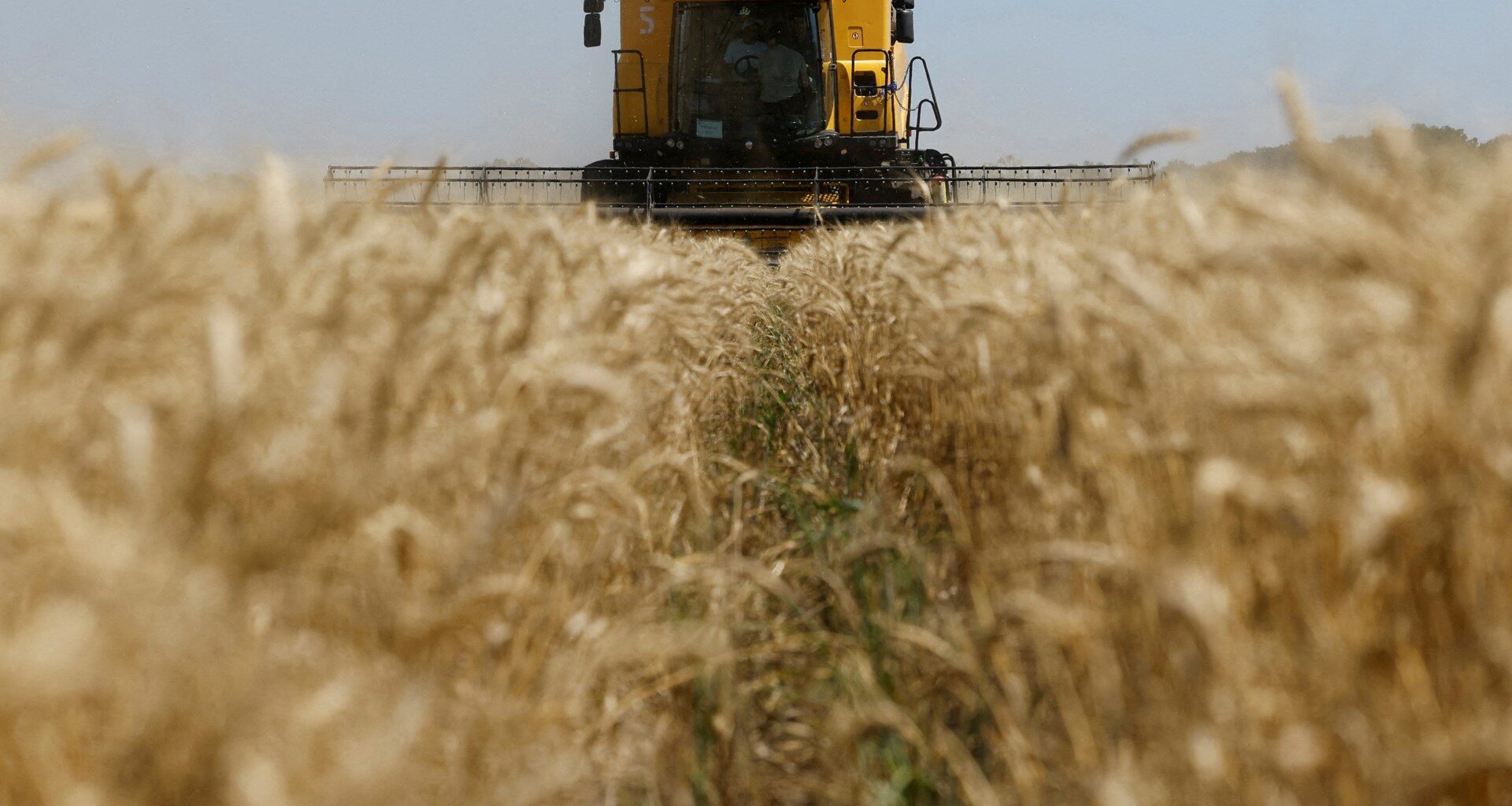 Ukraine asks Israel to seize ship carrying grain ‘stolen’ by Russia | Russia-Ukraine war News