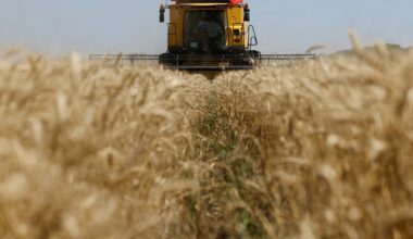 Ukraine asks Israel to seize ship carrying grain ‘stolen’ by Russia | Russia-Ukraine war News