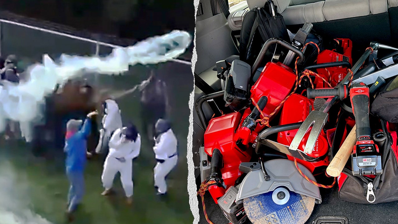 Officers use tear gas at Ridglan Farms as activists storm beagle facility