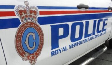 New Charges of Attempted Murder, Aggravated Assault Laid Against Teen Following Mount Pearl Stabbing