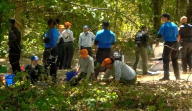 Remains of 3 children found in Memphis woods may have been there several years, police say