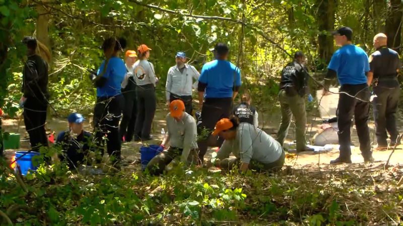 Remains of 3 children found in Memphis woods may have been there several years, police say
