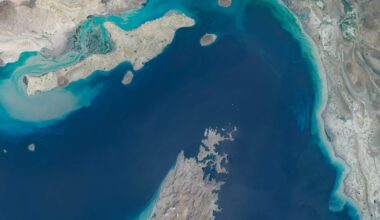 France, Germany split on potential US role in European plans to help secure Hormuz – POLITICO