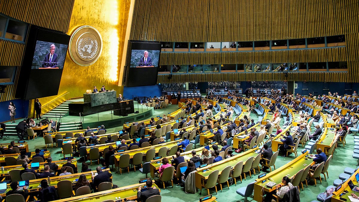 Nuclear Non-Proliferation Treaty meeting at U.N.
