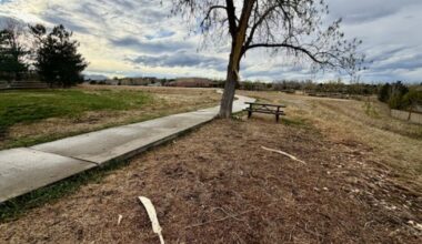 Woman struck by lightning in Superior ID'd, remains in critical condition