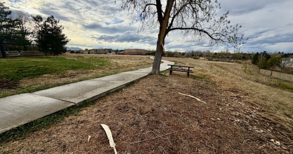 Woman struck by lightning in Superior ID'd, remains in critical condition