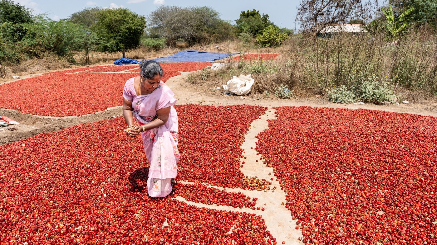 Hot peppers are a hot crop for these women farmers : NPR