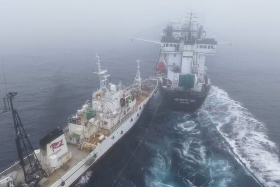 Activist's group accused of 'deliberate attack' on Antarctic krill trawler