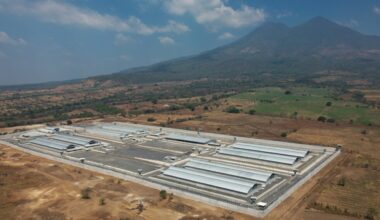 El Salvador puts nearly 500 alleged MS-13 gangsters on mass trial