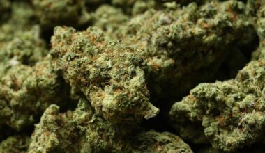 Medical marijuana has been reclassified. Is recreational pot next?