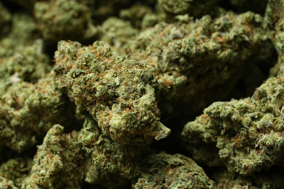 Medical marijuana has been reclassified. Is recreational pot next?