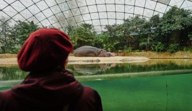 Berlin Zoo tour brings joy to people living with dementia
