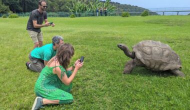 World's oldest known tortoise is still alive