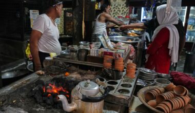 Energy shocks from the Iran War spread beyond homes, hitting forests and conservation efforts