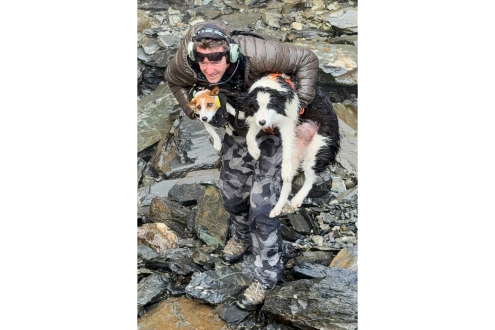 Dog survives week in New Zealand forest before a helicopter rescue