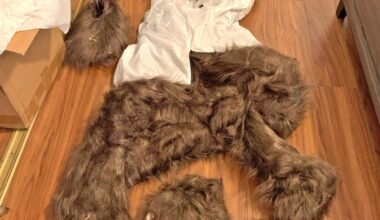 3 sentenced after bear costume used in $142K luxury car insurance scam