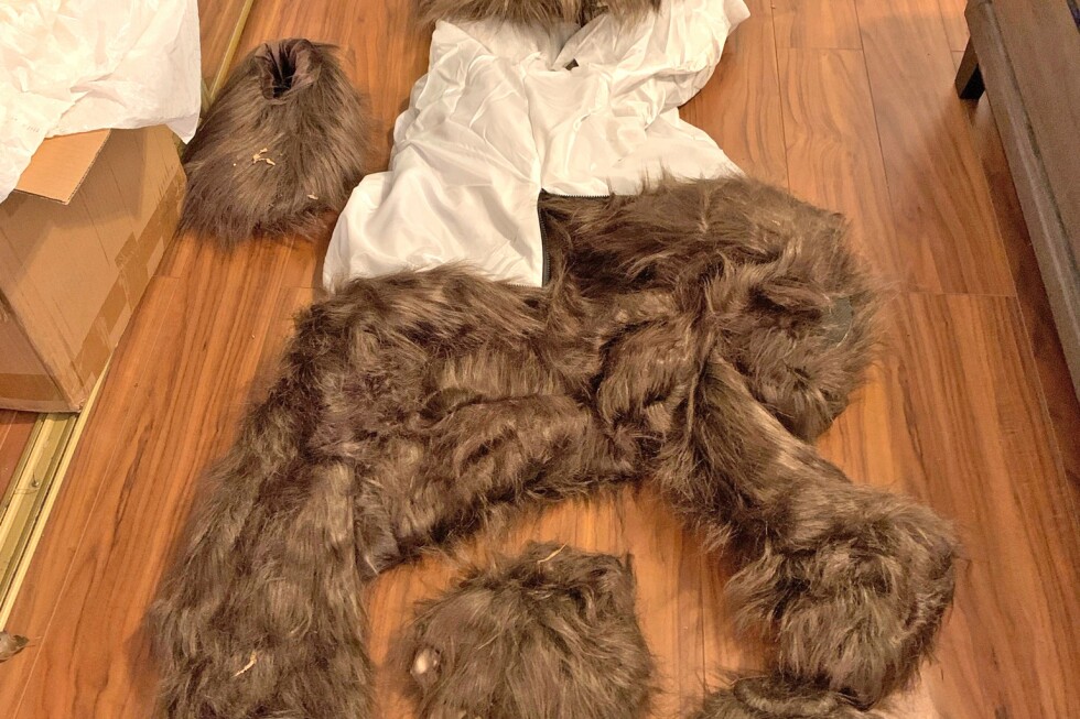 3 sentenced after bear costume used in $142K luxury car insurance scam